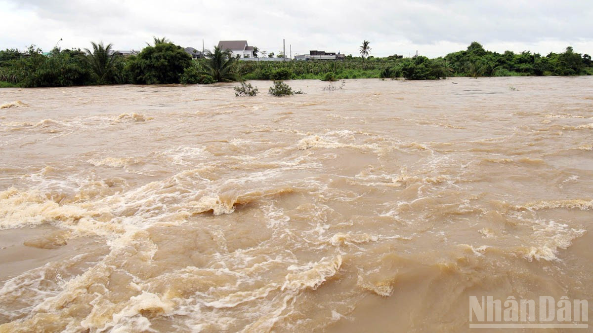 Lâm Đồng chủ động ứng phó mưa lũ