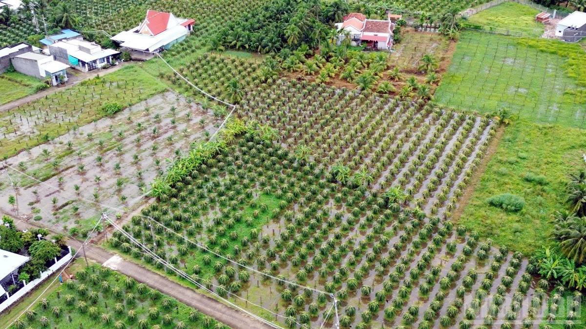 Lâm Đồng chủ động ứng phó mưa lũ