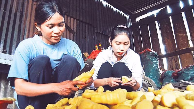 Hội viên phụ nữ thôn Đăk Wet, xã Đăk Pxi sơ chế măng le.