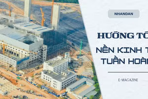 Hướng tới nền kinh tế tuần hoàn