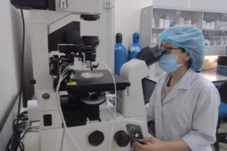 Nghiên cứu khoa học tại Đại học Quốc gia Thành phố Hồ Chí Minh.
