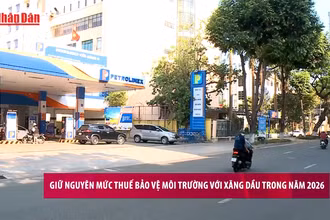 [Video] Giữ nguyên mức thuế bảo vệ môi trường với xăng dầu trong năm 2026 