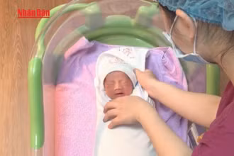 [Video] Phụ nữ độc thân có quyền làm thụ tinh trong ống nghiệm khi “có nguyện vọng”