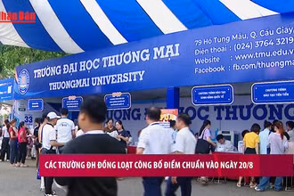 [Video] Các trường đại học đồng loạt công bố điểm chuẩn vào ngày 20/8