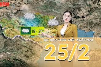 [Video] Dự báo thời tiết đêm nay và ngày mai 25/2/2026: Bắc Bộ mưa dông diện rộng, cảnh báo lốc sét và mưa đá