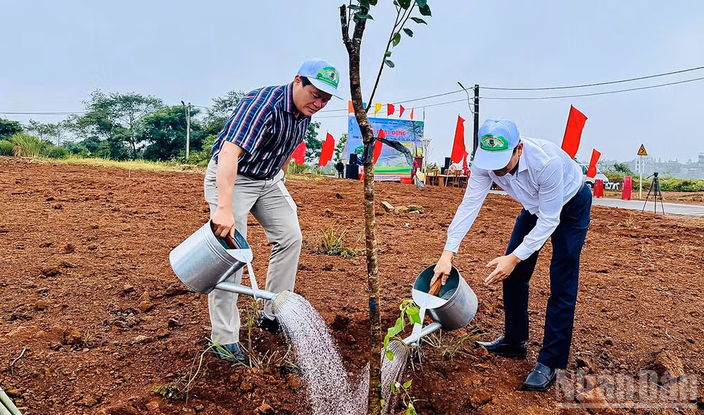 Các đại biểu tham gia trồng cây, góp phần tạo cảnh quan xanh-sạch-đẹp cho khu vực trung tâm xã Măng Đen.