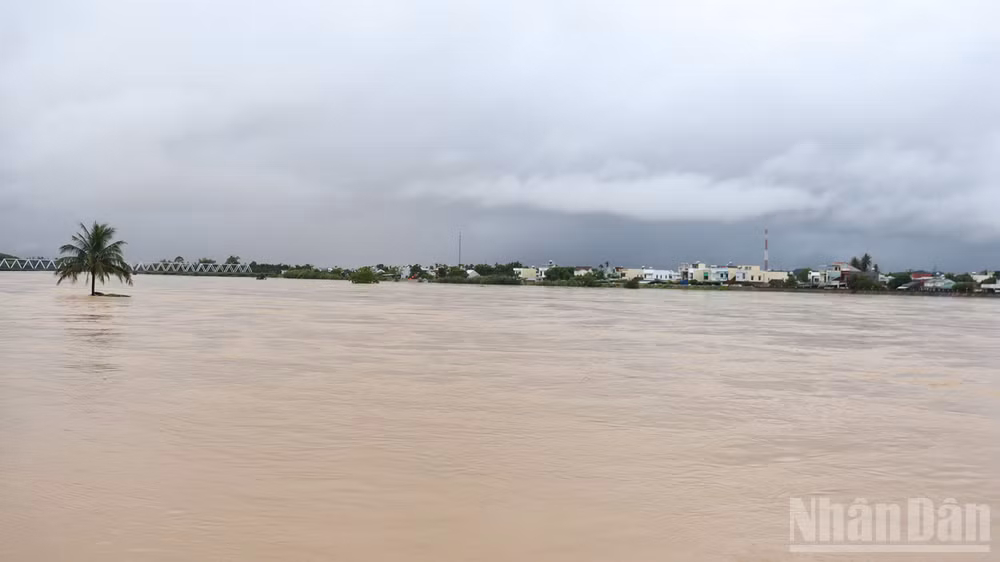 ndo_br_img-3569.jpg