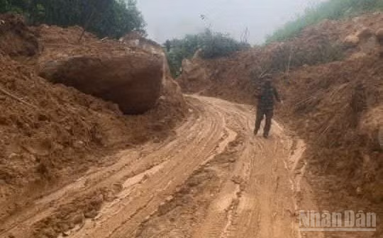 Với tinh thần làm việc xuyên đêm không ngơi nghỉ, đến rạng sáng 31/10, điểm sạt lở nghiêm trọng tại Km15+900 và nhiều điểm sạt lở khác trên tuyến ĐT.623 đã khắc phục xong, bảo đảm giao thông vào đến trung tâm xã Sơn Tây (Quảng Ngãi). 