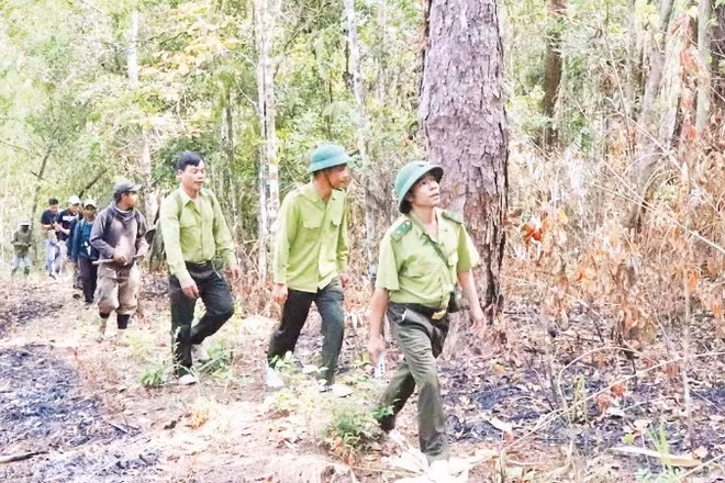 Cán bộ kiểm lâm Trạm Kiểm lâm số 6, Vườn Quốc gia Chư Yang Sin trên đường tuần tra bảo vệ rừng.