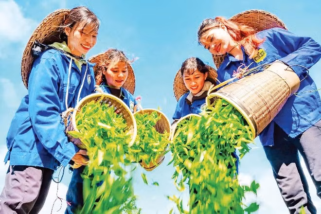 Nhiều trải nghiệm du lịch cộng đồng, văn hóa đặc sắc tại Kon Plông.