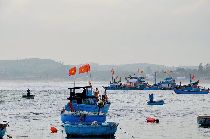 ngu-dan-quang-ngai-vuon-khoi-bam-bien-thuc-hien-nghiem-quy-dinh-chong-khai-thac-iuuanh-luu-huong.jpg