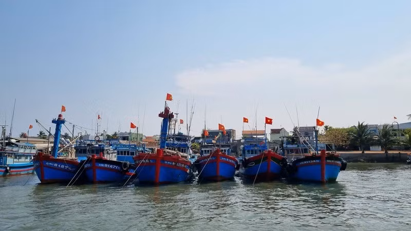 a-cac-tinh-thanh-pho-ven-bien-tang-cuong-kiem-soat-tau-ca-ra-vao-cang-giam-sat-san-luong-thuy-san-khai-thac-de-chong-danh-bat-iuu.jpg