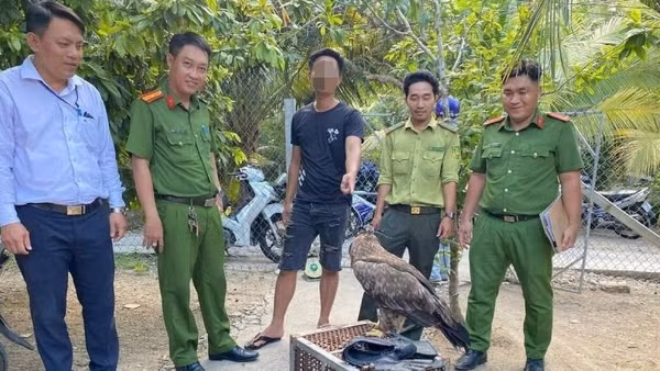 Lực lượng chức năng phát hiện một trường hợp nuôi nhốt động vật rừng trái quy định. (Ảnh: Công an phường Sơn Đông)