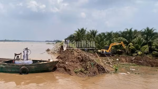 Sạt lở đê bao làm nước tràn vào gây ngập vườn cây ăn quả của người dân cồn Cái Gà, xã Chợ Lách, tỉnh Vĩnh Long. (Ảnh: HOÀNG TRUNG)