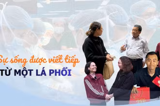 Sự sống được viết tiếp từ một lá phổi