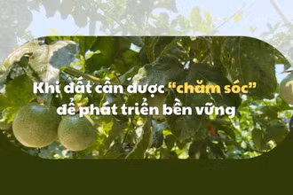 Khi đất cần được “chăm sóc” để phát triển bền vững