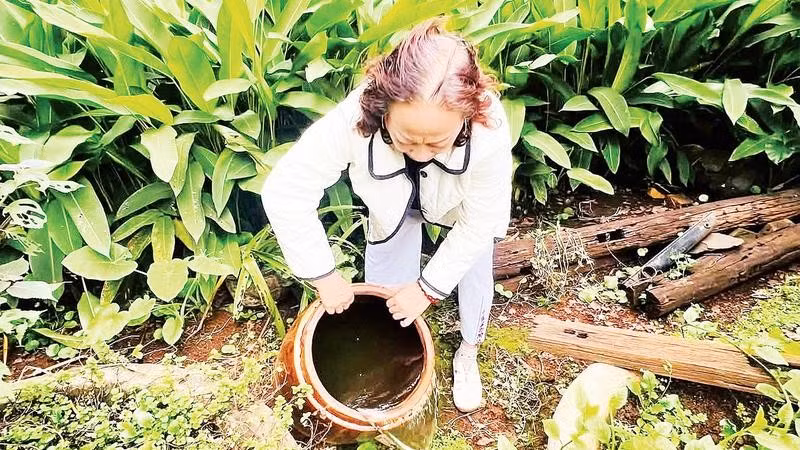 Người dân phường Tân An xử lý lu chứa nước để diệt lăng quăng, bọ gậy phòng, chống sốt xuất huyết.