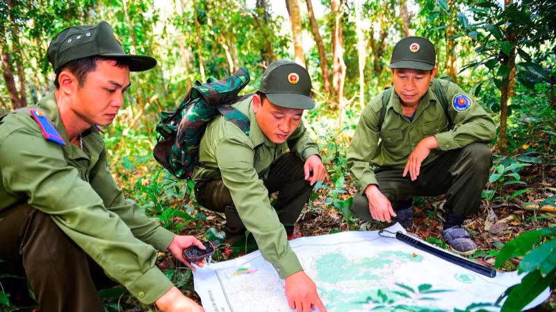 Tỉng Quảng Ngãi tăng cường các giải pháp bảo vệ và phát triển rừng bền vững.