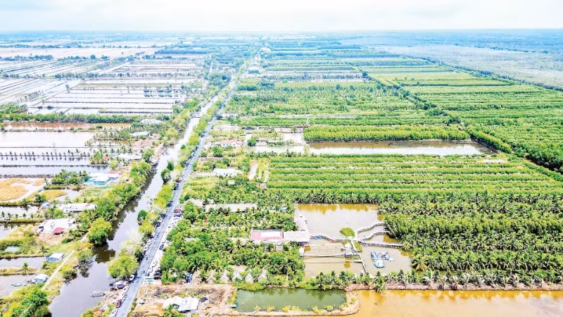 Một góc vùng quê nông thôn thuộc ấp Vồ Dơi, xã Đá Bạc, tỉnh Cà Mau.