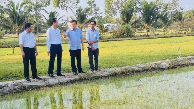 Đồng chí Bí thư Đảng ủy xã Vĩnh Thanh Ngô Nguyên Phong (bìa trái) cùng lãnh đạo Tỉnh ủy Cà Mau thăm mô hình trồng rau má của xã.