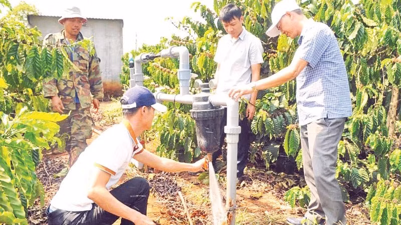 Nhà nông Lâm Đồng ứng dụng công nghệ tưới trong sản xuất nông nghiệp.