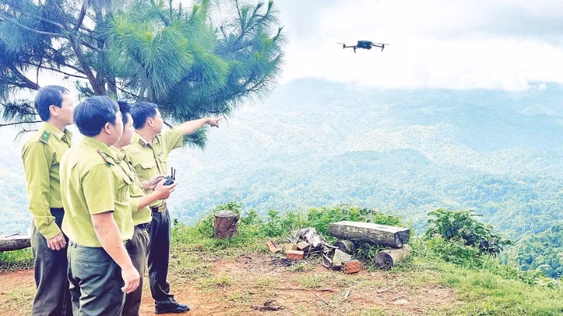 Các đơn vị chủ rừng và hạt kiểm lâm ứng dụng flycam để quan sát, quản lý và bảo vệ rừng tại Lâm Đồng.