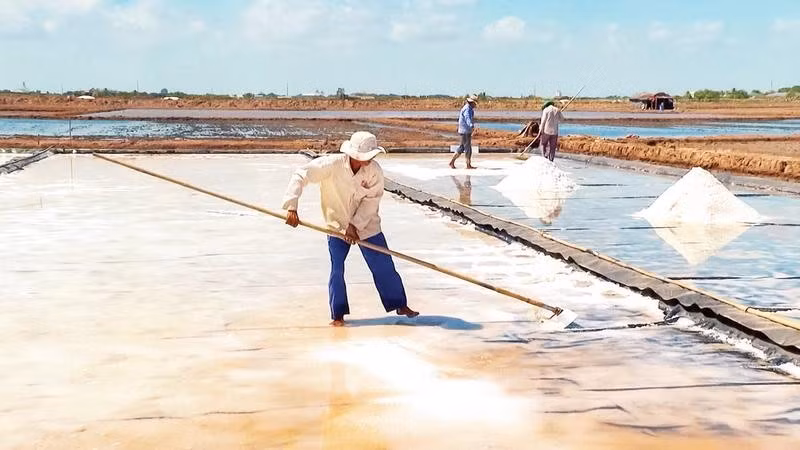 Người dân phường Vĩnh Phước cải tạo lại ruộng muối để chuyển sang nuôi Artemia.