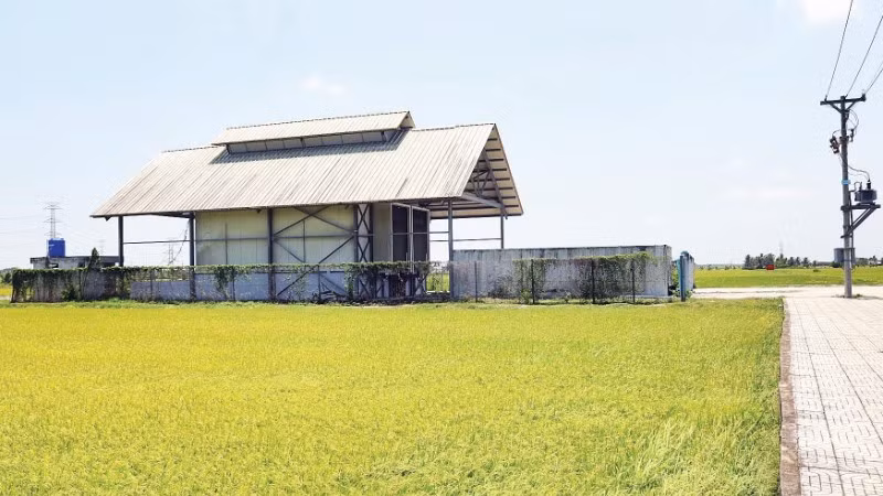 Dự án kho lạnh thông minh đạt tiêu chuẩn châu Âu tại xã Bình Phú đã khánh thành hơn 4 năm vẫn chưa đưa vào khai thác sử dụng.