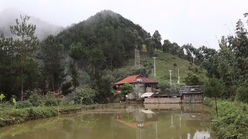 Khu nuôi cá rộng 5.000 m2 và xung quanh được trồng rừng thông của gia đình ông Lường Văn Hợp.