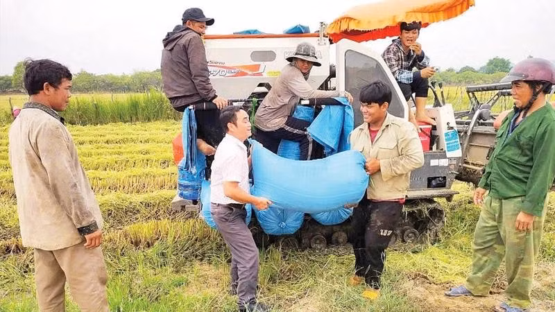 Niềm vui được mùa của người dân xã Ia Mơ.