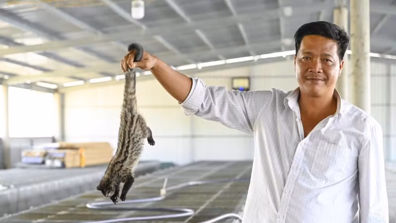 Anh Lê Thanh Bảo với mô hình nuôi chồn hương cam.