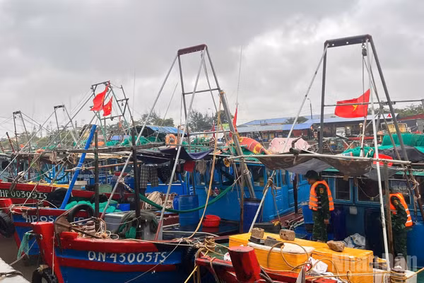 Các phương tiện đã được Bộ đội Biên phòng thành phố Hải Phòng kêu gọi tránh, trú an toàn tại các bến.