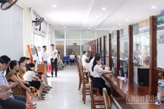 Phường Ngũ Hành Sơn vận hành thử nghiệm đợt 1.
