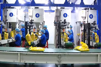 [Video] Giá gạo xuất khẩu Việt Nam giảm gần 19% trong 5 tháng đầu năm