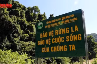 [Video] Nghệ An cảnh báo nguy cơ cháy rừng cấp độ cao