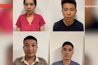 [Video] Triệt phá đường dây tuồn thịt nhiễm dịch tả lợn châu Phi tại Thanh Hóa