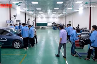 [Video] Đổi mới giáo dục nghề, phục vụ phát triển đất nước