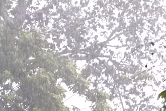 [Video] Mưa lớn cục bộ, cảnh báo lũ quét và gió giật mạnh nhiều nơi