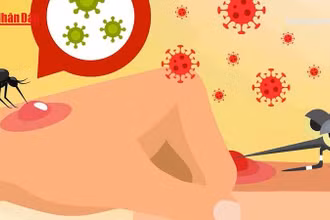 [Video] Chủ động ngăn chặn dịch Chikungunya ngay từ cửa khẩu và cơ sở y tế