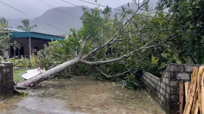 Lưới điện hạ thế bị sự cố do bão số 10 tại Thanh Hóa. (Ảnh: EVN)