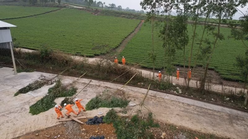 nhan-vien-dien-luc-xu-ly-phat-quang-hanh-lang-luoi-tuyen-tai-lao-cai-9925.jpg