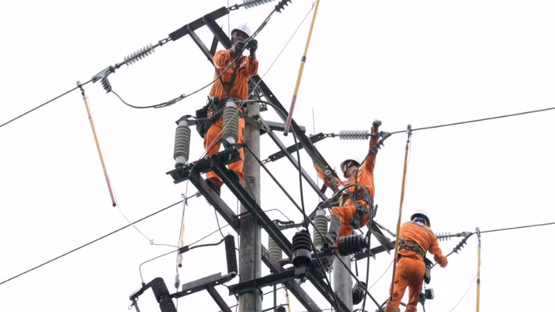 Người lao động được trang bị đầy đủ dụng cụ an toàn khi làm việc trên cao.