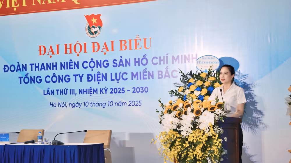 chu-tich-hdtv-evnnpc-do-nguyet-anh-phat-bieu-chi-dao-tai-dai-hoi.jpg