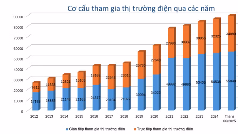 Biểu đồ Cơ cấu tham gia thị trường điện qua các năm. 