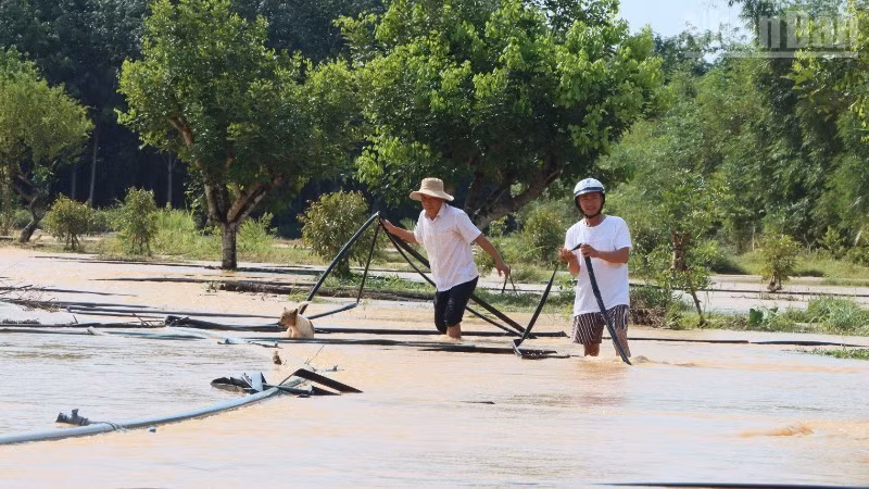 Người dân khắc phục thiên tai.