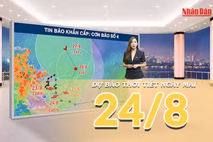 [Video] Dự báo thời tiết đêm nay và ngày mai 24/8/2026: Bão số 4 di chuyển chậm với cường độ mạnh, Đông Bắc Bộ mưa to, gió lớn