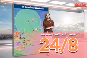 [Video] Dự báo thời tiết 24/8/2026: Bão số 4 gây mưa lớn ở Đông Bắc Bộ, đề phòng lũ quét, sạt lở đất và gió giật mạnh