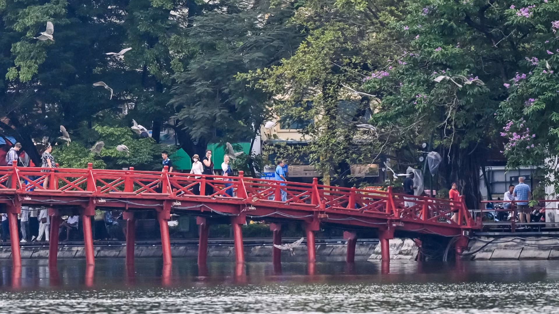 Nhiều du khách dừng chân bên hồ để ngắm nhìn và ghi lại khoảnh khắc thiên nhiên hòa quyện với nhịp sống đô thị hiện đại.