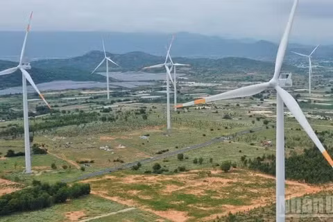 (Ảnh minh họa: nhandan.vn)
