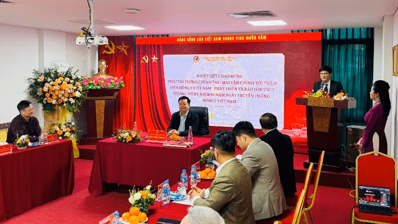 Phó Thủ tướng Chính phủ Mai Văn Chính chủ trì buổi làm việc với Viện Đông y Việt Nam